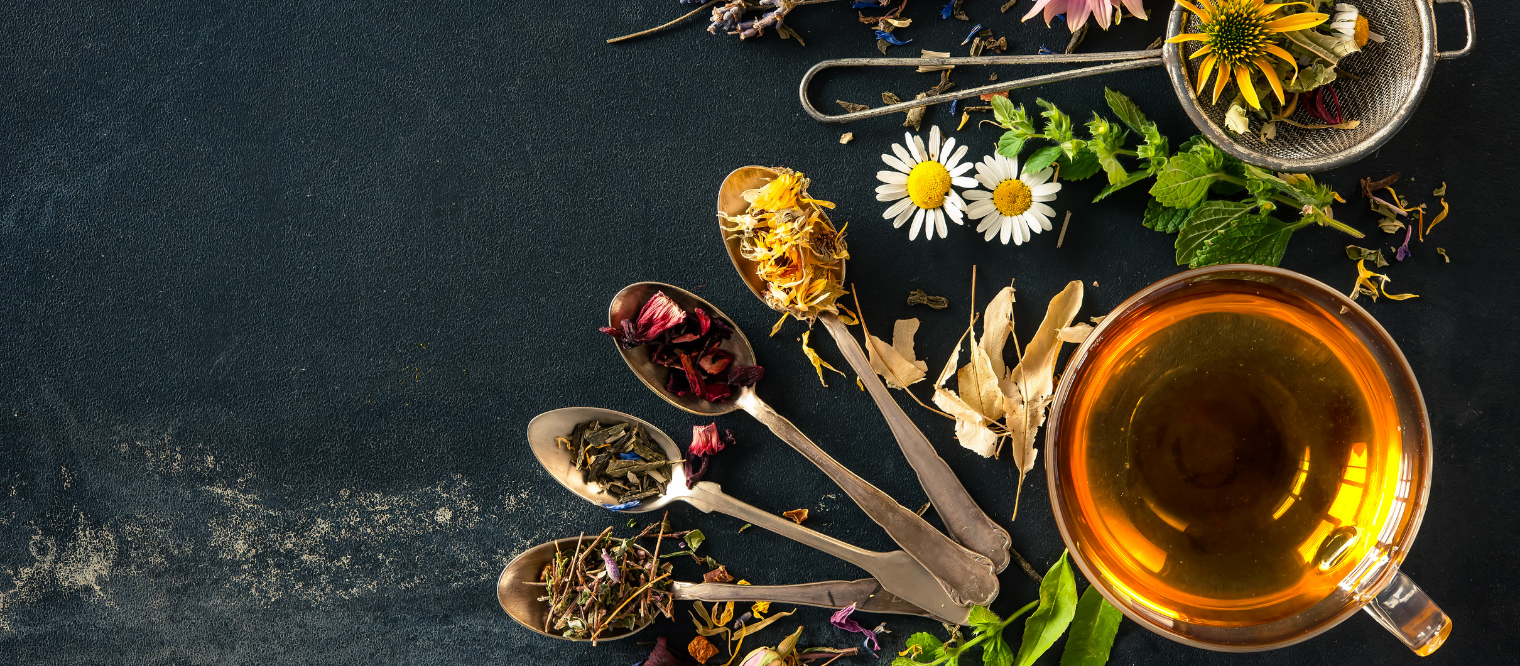 Herbal tea for diabetes in a tea cup with grey background and white, yellow flowers, spoons, herbal brews, dry leaves, green leaves, rose petals.