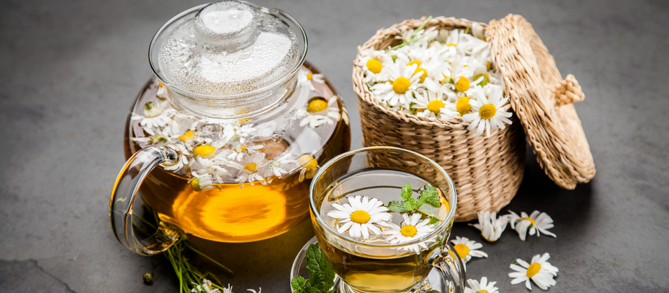 Transparent teapot and cup of tea filled with Chamomile tea and Chamomile flowers in the jute bucket and green leaves with black rust background.